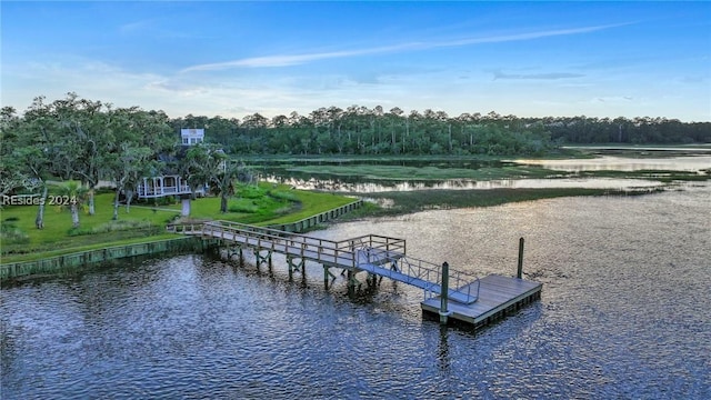 dock area with a water view