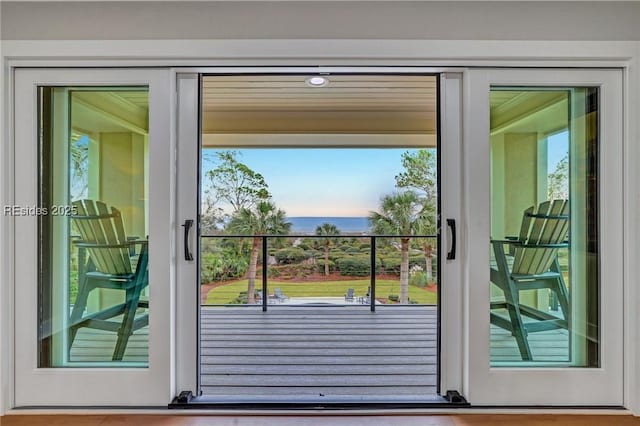 entryway featuring a wealth of natural light