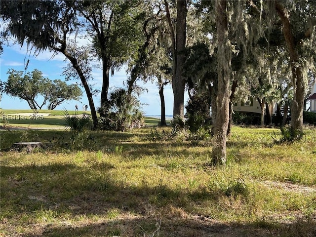 37 Tabby Cir, Daufuskie Island SC, 29915 land for sale