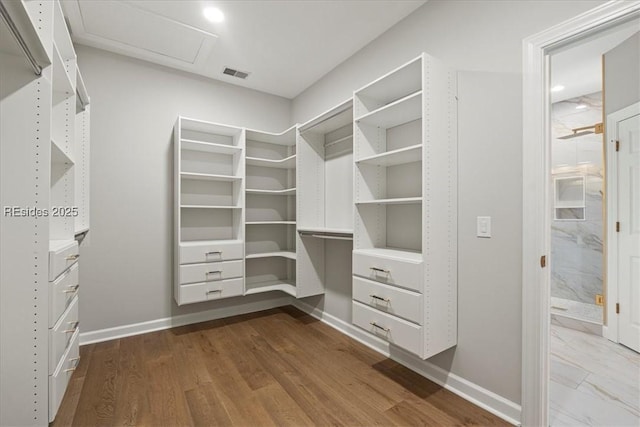 walk in closet featuring hardwood / wood-style floors