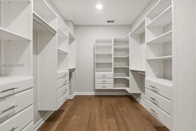 walk in closet with dark wood-type flooring