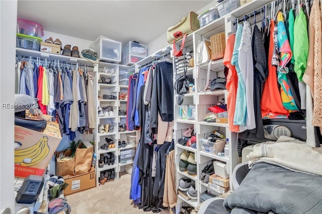 spacious closet with carpet floors