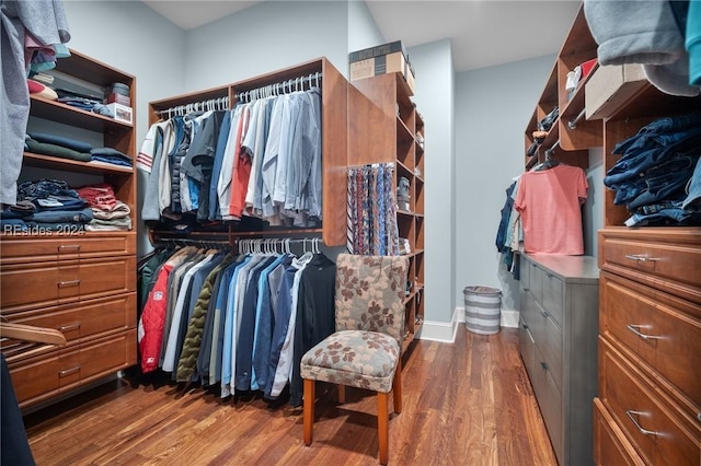 spacious closet featuring dark hardwood / wood-style flooring