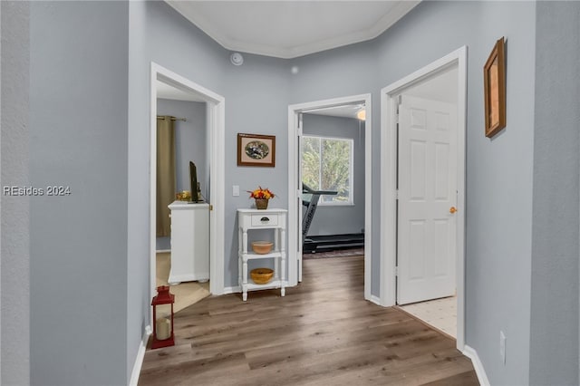 corridor featuring hardwood / wood-style flooring and ornamental molding