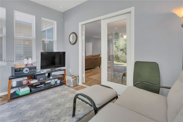 living room with hardwood / wood-style flooring