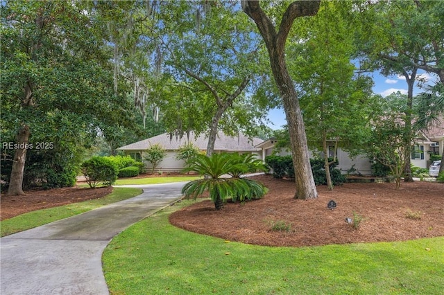 view of front of home featuring a front lawn