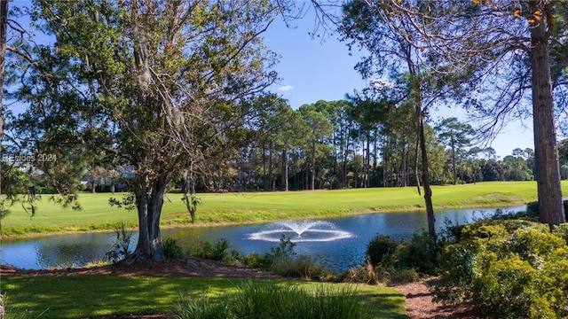 view of water feature