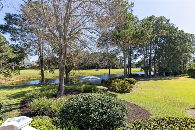 view of yard featuring a water view