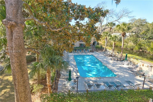 view of swimming pool featuring a patio area