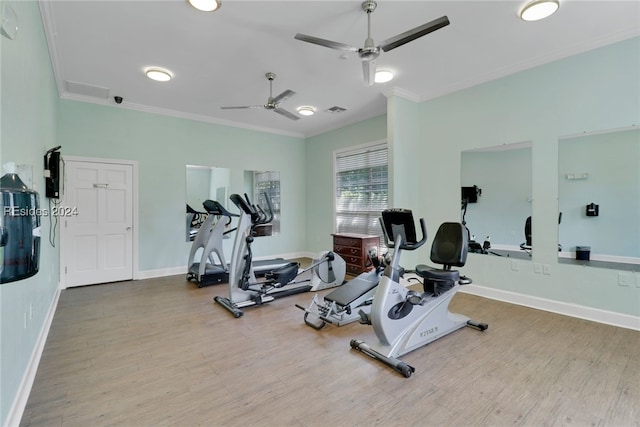 exercise room featuring hardwood / wood-style flooring, crown molding, and ceiling fan