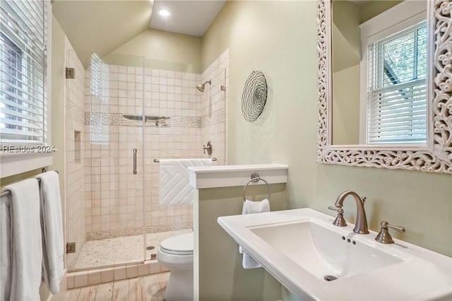 bathroom with sink, toilet, and walk in shower