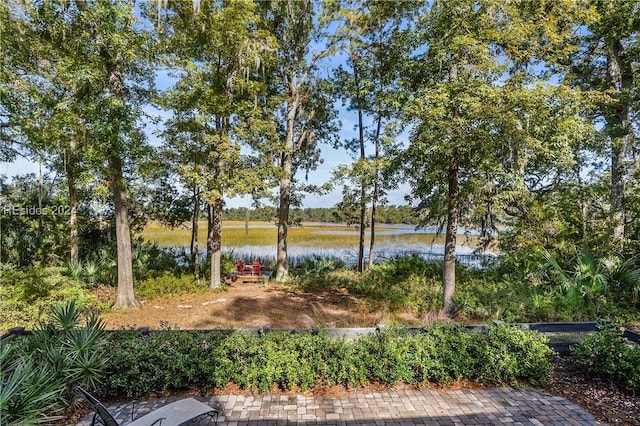 view of yard with a water view