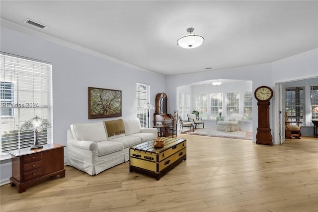 living room featuring crown molding and light hardwood / wood-style floors