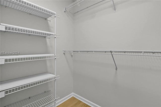 spacious closet featuring wood-type flooring