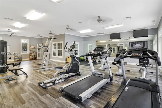 gym with crown molding and hardwood / wood-style flooring