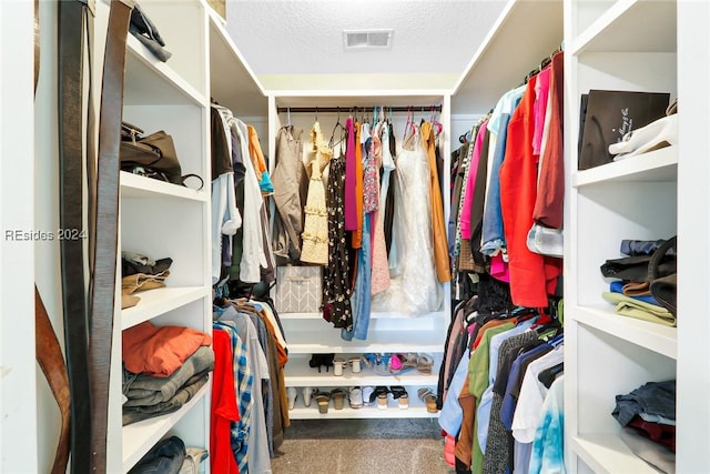 spacious closet featuring carpet floors