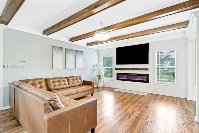 living room with beam ceiling, ceiling fan, and light hardwood / wood-style floors