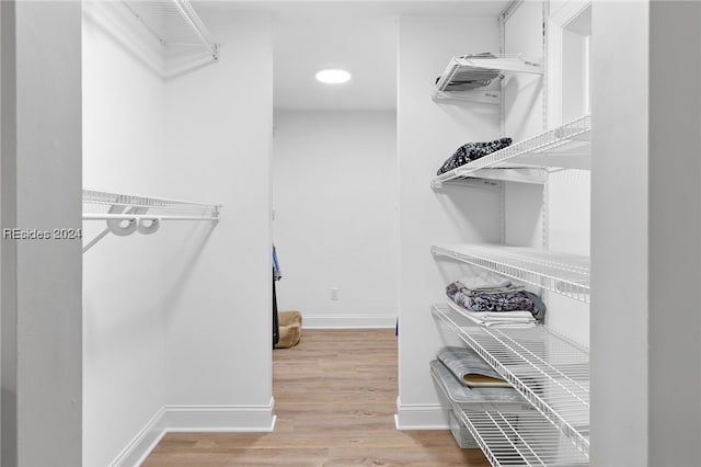 spacious closet with light wood-type flooring