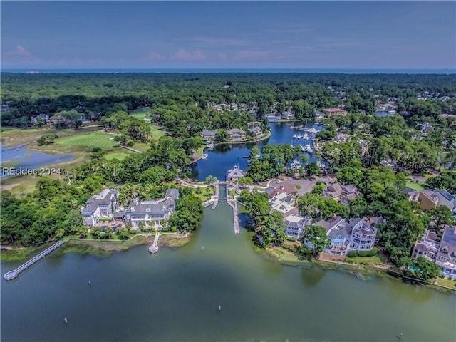 aerial view with a water view