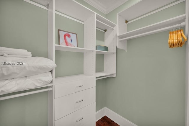 spacious closet featuring hardwood / wood-style flooring