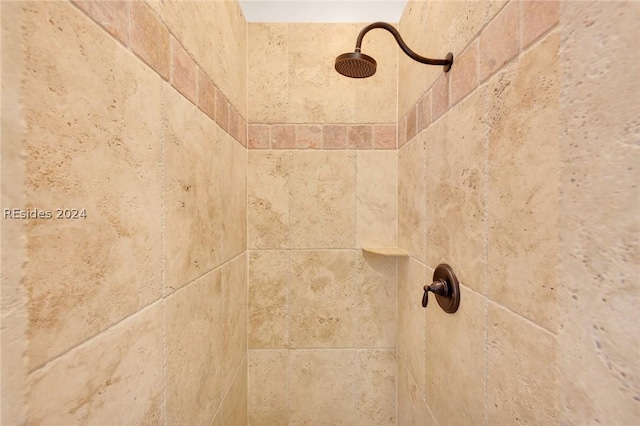 room details featuring a tile shower