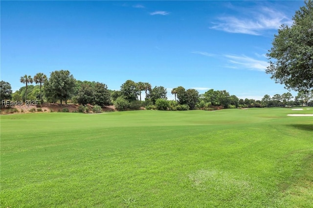 view of home's community with a yard