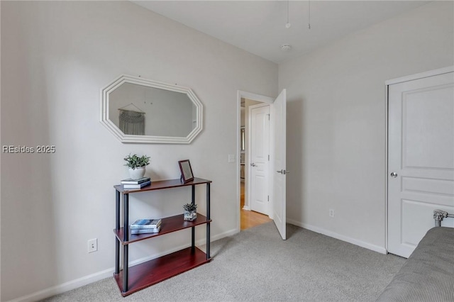 interior space with light carpet