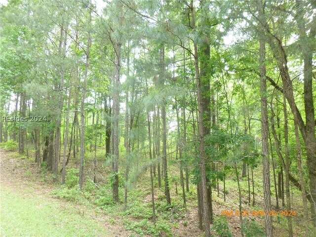 Listing photo 3 for LOT2BLOCK6 Bereau Dr, Mccormick SC 29835