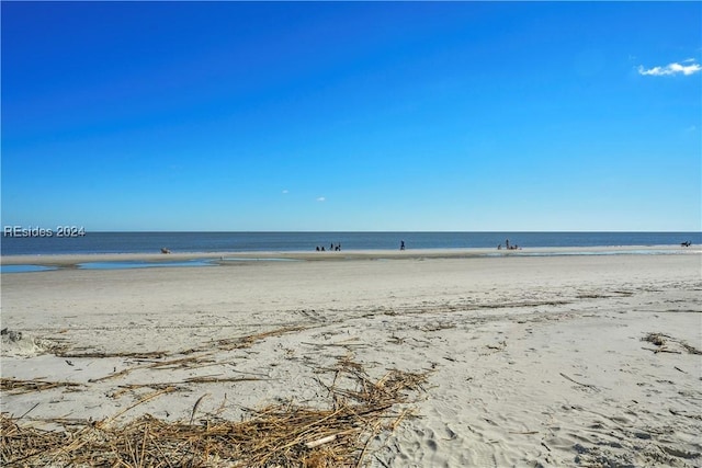 water view featuring a beach view