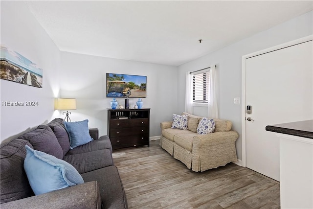 living room featuring hardwood / wood-style floors