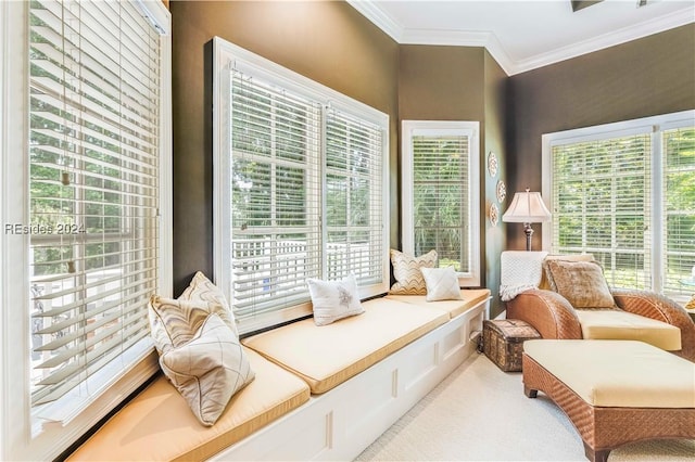 living area with crown molding