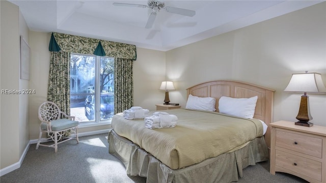 bedroom featuring a raised ceiling, ceiling fan, and carpet