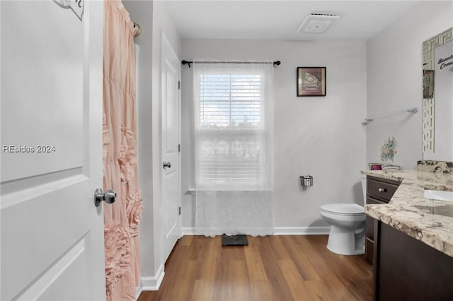 bathroom featuring vanity, toilet, and wood-type flooring