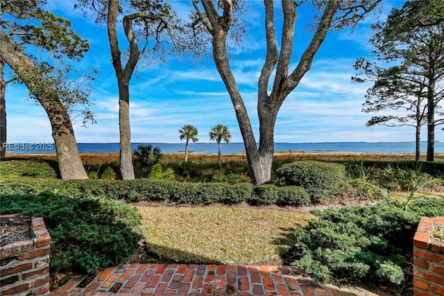 view of yard featuring a water view