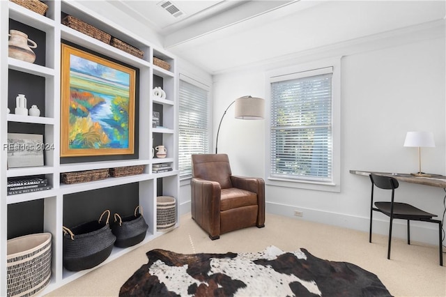 sitting room featuring carpet