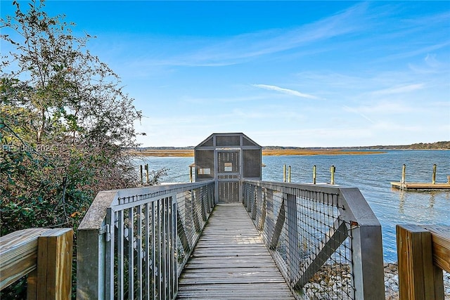 dock area with a water view