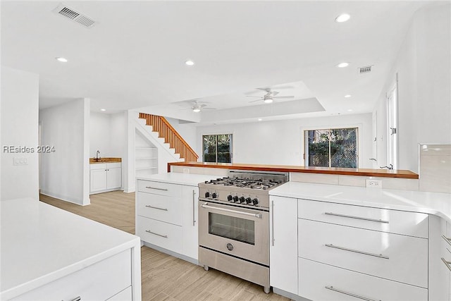 kitchen featuring sink, light hardwood / wood-style flooring, white cabinetry, high end stove, and a raised ceiling