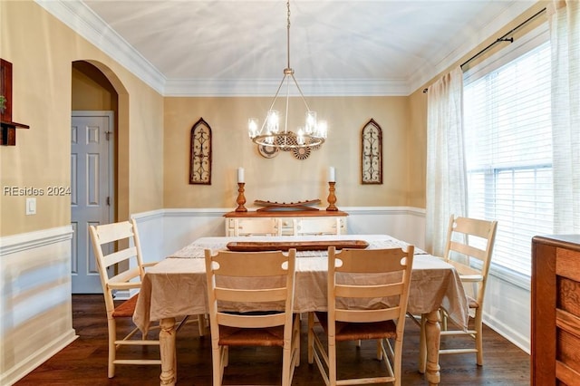 dining area with a wealth of natural light, dark wood-type flooring, and ornamental molding