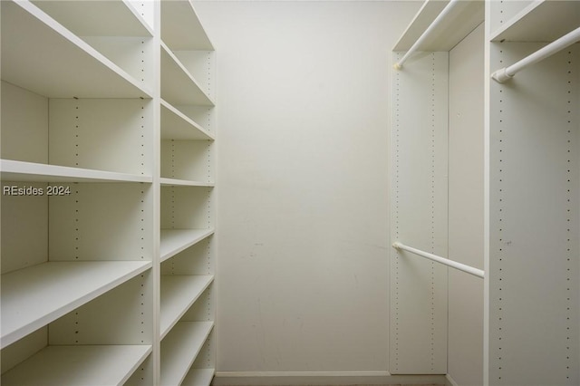 view of spacious closet