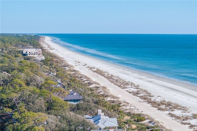 property view of water with a beach view