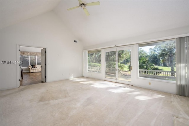 interior space with carpet floors and plenty of natural light