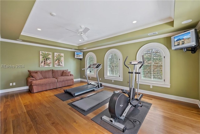 workout area featuring crown molding, ceiling fan, wood-type flooring, and a raised ceiling