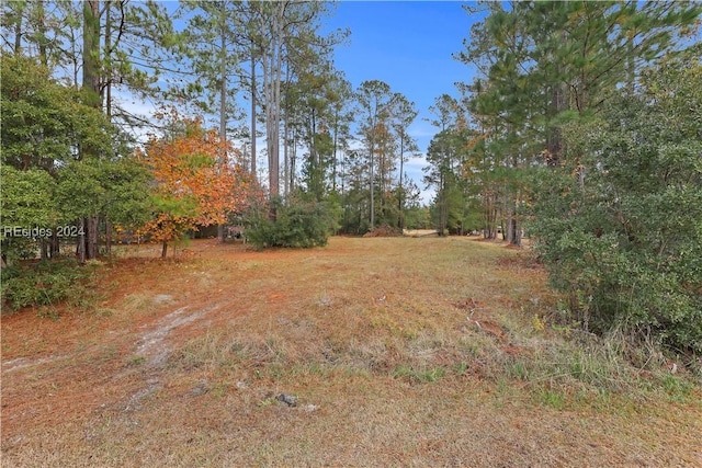 201 Graham Hall S, Ridgeland SC, 29936 land for sale