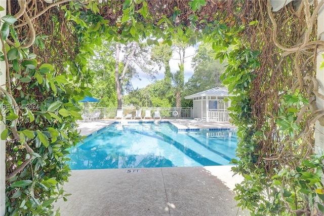 view of pool featuring a patio