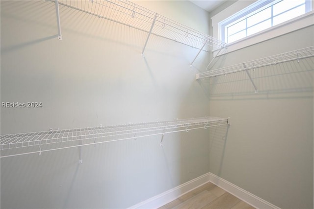 walk in closet featuring wood-type flooring