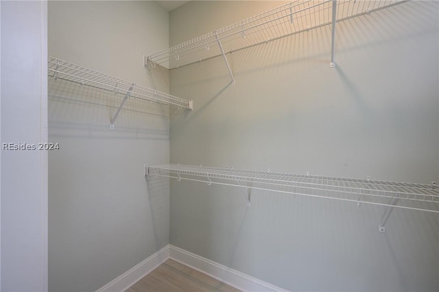 walk in closet with hardwood / wood-style floors