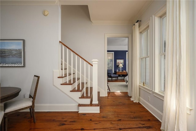 stairs with crown molding and hardwood / wood-style floors