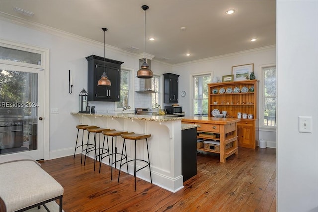 kitchen with dark hardwood / wood-style floors, decorative light fixtures, a kitchen bar, kitchen peninsula, and crown molding