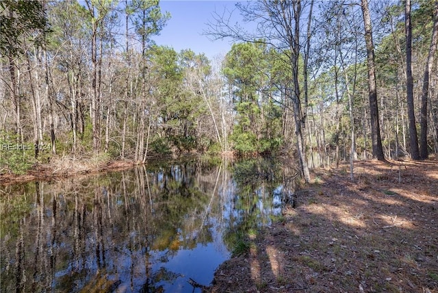 Listing photo 3 for 132 Spring Island Dr, Okatie SC 29909