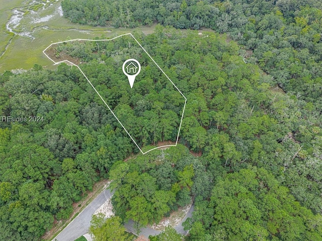 19 Hasell Pointe Rd, Okatie SC, 29909 land for sale